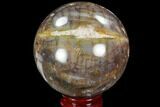 Petrified Wood Sphere - Madagascar #98464-1